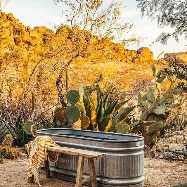 Just the perfect spot  via freepeople   hellip