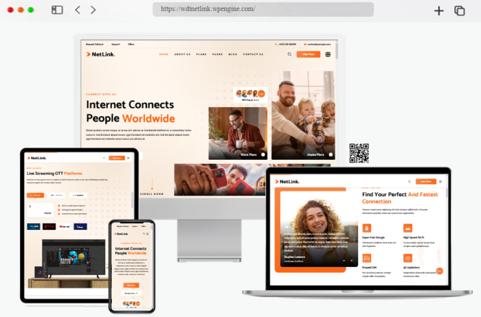 netlink broadband tv wordpress theme