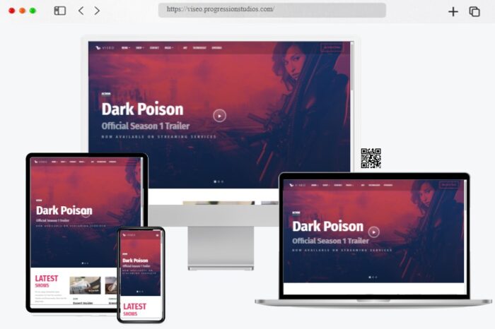 Viseo Video Podcast Theme