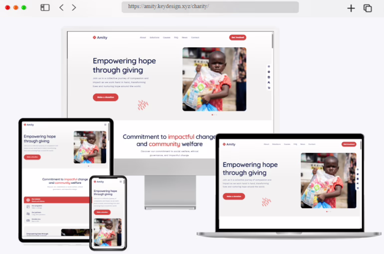 amity charity donation elementor