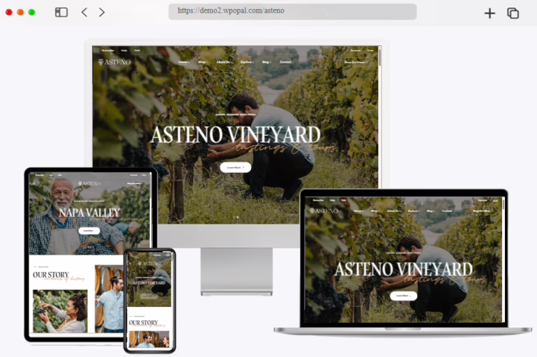asteno wine vineyard