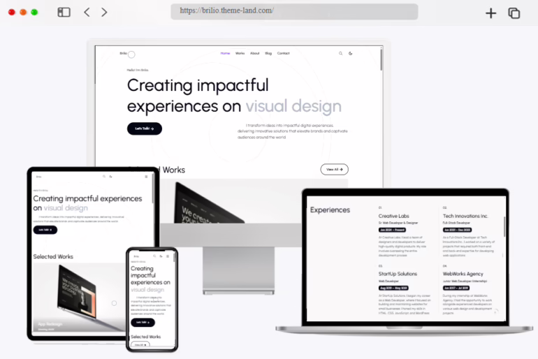 brilio personal portfolio resume
