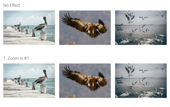css image hover effects