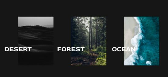 canvas image hover interaction