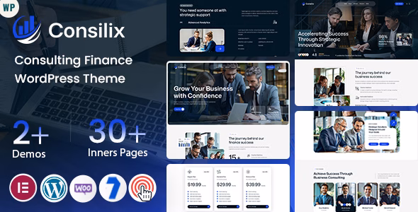 Consilix - Consulting Finance WordPress Theme WordPress theme