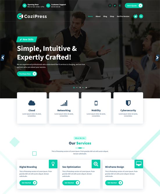 Free Theme for Money Management Services