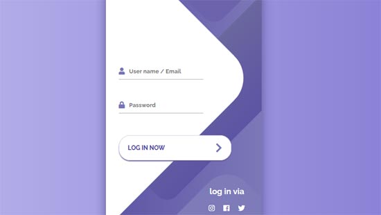 css html login form