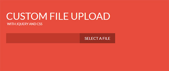 custom file upload