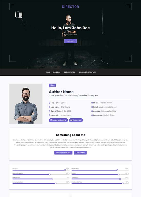 director blogger template