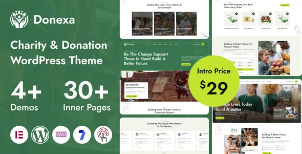 donexa---charity-&-donation-wordpress-theme