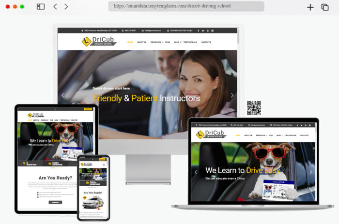 dricub driving school wordpress theme