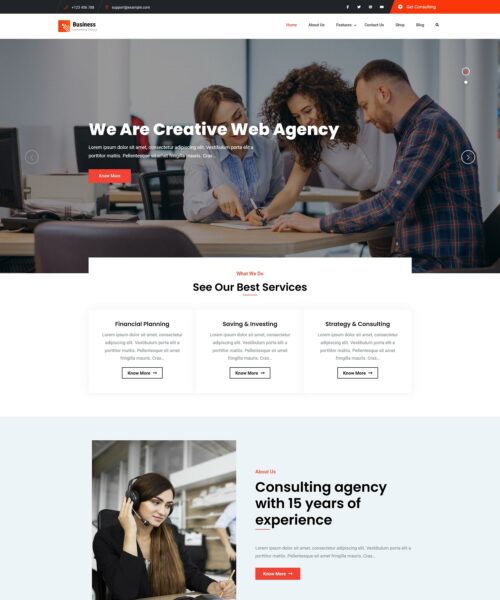 Professional Free WordPress Themes