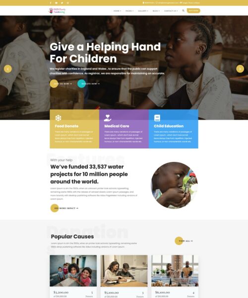 Professional Free WordPress Themes for Nonprofits