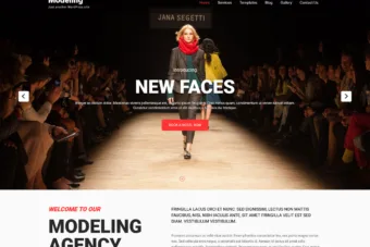 free fashion model lifestyle wordpress themes