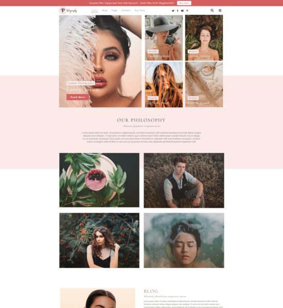 Free Influencer WordPress Themes