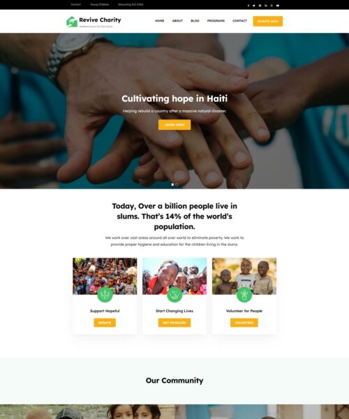 Responsive free charity WordPress themes