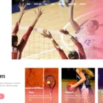 free sports wordpress themes