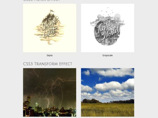 image hover effect css filter effect