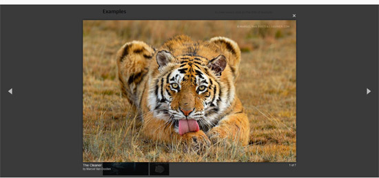 magnific popup