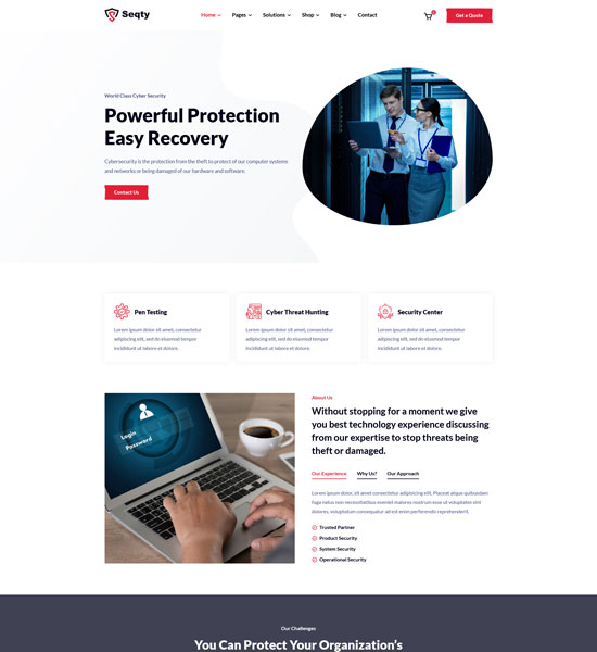 seqty cyber security