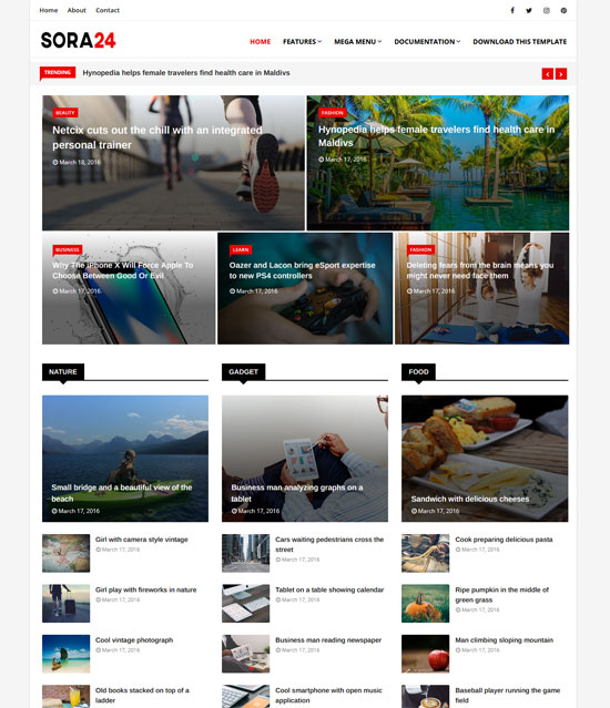 sora blogger template