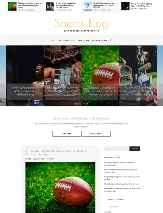 Free Sports Industry WordPress Themes