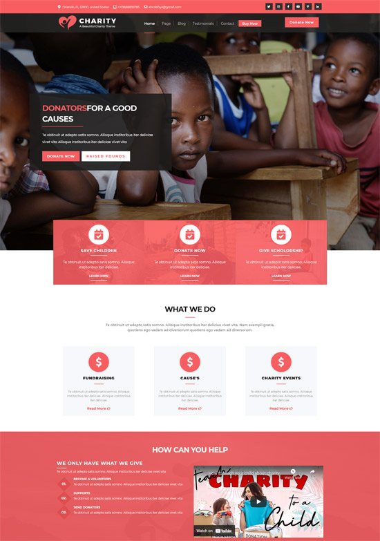 vw charity ngo