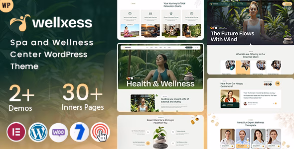 Wellxess - Spa and Wellness Center WordPress Theme WordPress theme