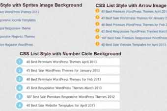 css list style pic