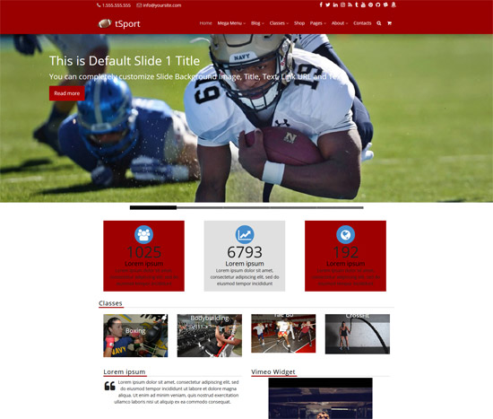 Free Workout WordPress Themes