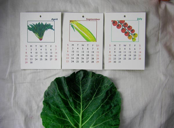 calendar vector