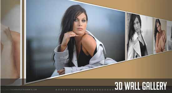 3D Wall Gallery