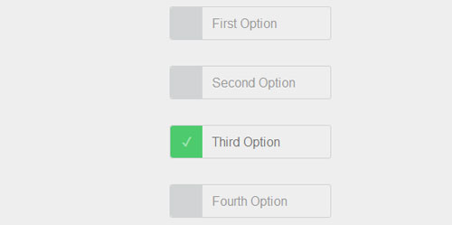 CSS-Radio-Buttons