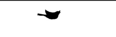 CSS3-Animated-Bird