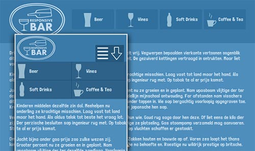 CSS3 Responsive Menu with Icon