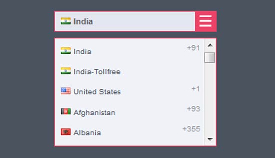 Country-flag-selector