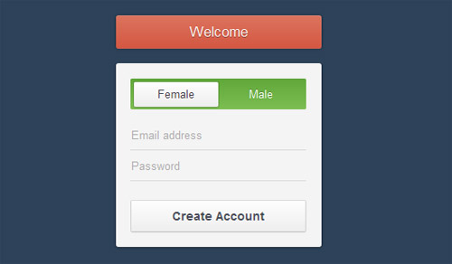 Css3-Registration-Form