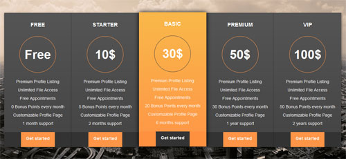 HTML-CSS-Pricing-table