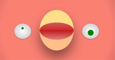 PIO-single-element-border-animation