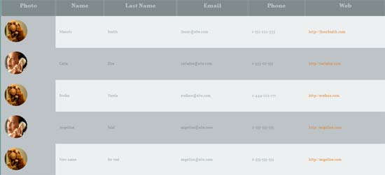 Responsive-table-with-json-data