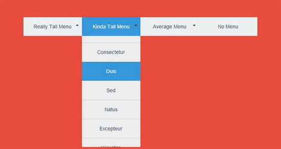Solution-for-Long-Drop-Down-Items