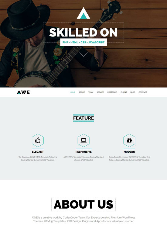 awe one page business wordpress theme
