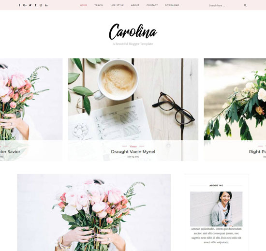 carolina blogger personal template 