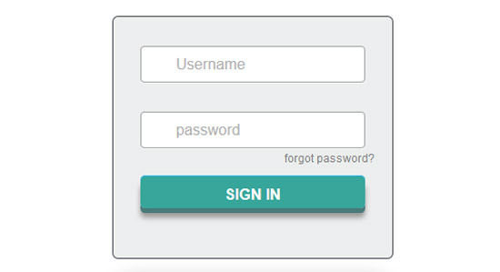 css login form 