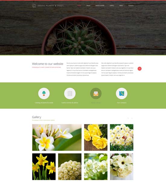 exotic-plants-website-template