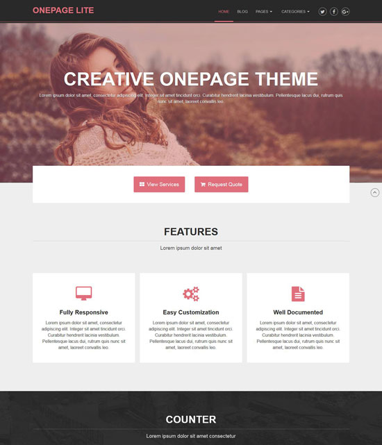 onepage lite free wordpress theme