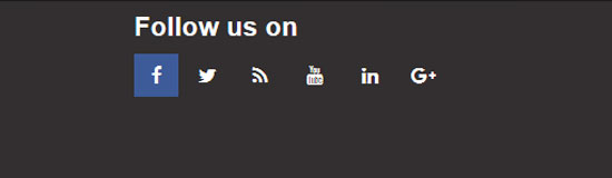 pure css social media icons 