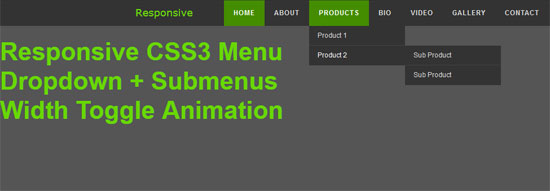 responsive css3 menu with toggle animation 