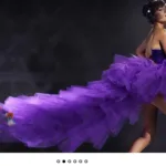 slider wordpress plugin